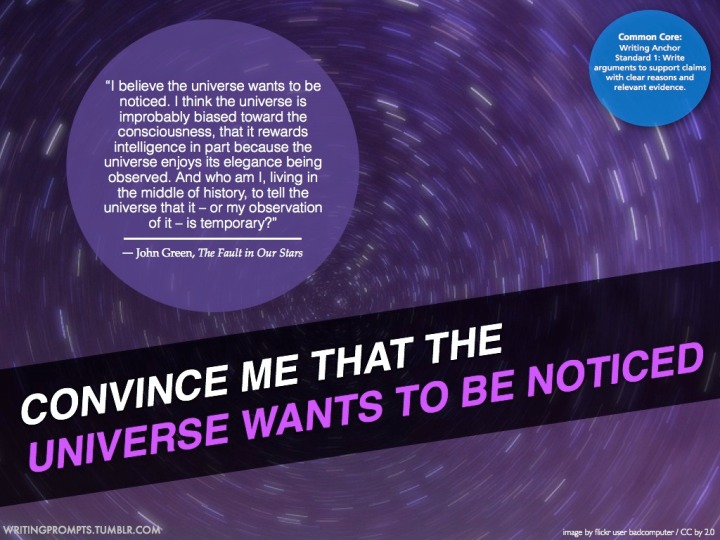 The Universe Wants To Be Noticed